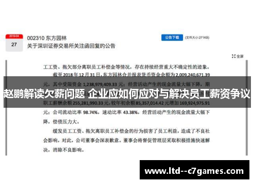 赵鹏解读欠薪问题 企业应如何应对与解决员工薪资争议