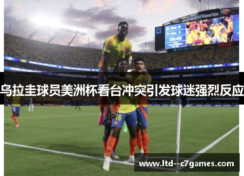 乌拉圭球员美洲杯看台冲突引发球迷强烈反应 乌拉圭球员美洲杯看台冲突引发球迷强烈反应