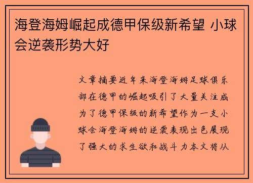 海登海姆崛起成德甲保级新希望 小球会逆袭形势大好