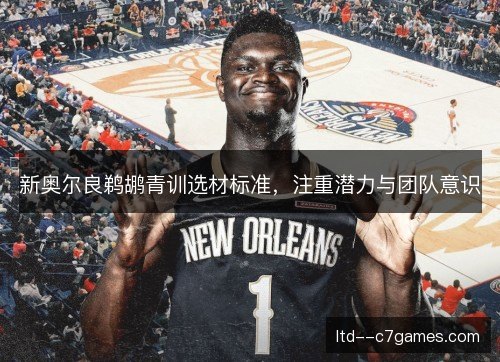 新奥尔良鹈鹕青训选材标准，注重潜力与团队意识